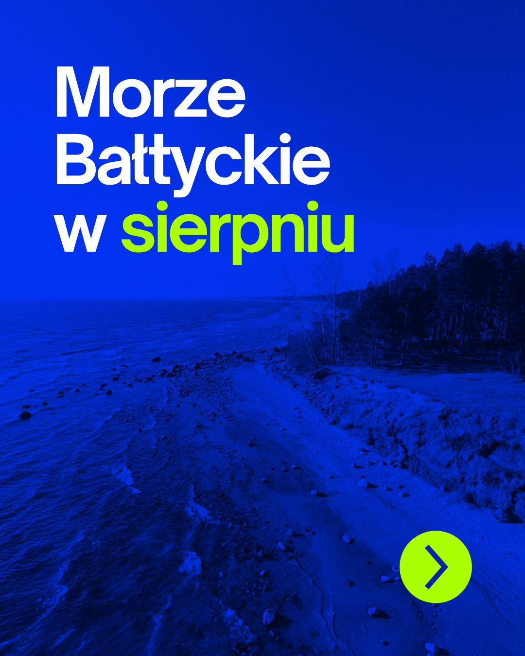 Na plaży wciąż trwa lato. Turyści korzystają z ciepłych dni, a Bałtyk nadal zachęca do spacerów i kąpieli. Ale pod powierzchnią wody natura…
